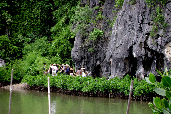 Đường vào động Trung Trang