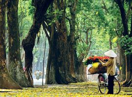 Vé máy bay đi Hà Nội