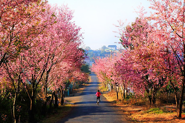 Đặt vé đoàn giá rẻ tháng 2