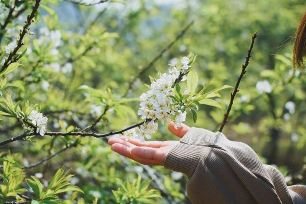 Đặt vé đoàn giá rẻ tháng 2