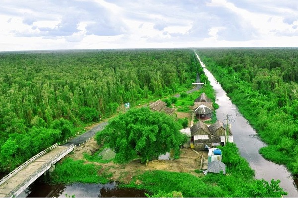 Đặt vé đoàn Bamboo đi Cà Mau