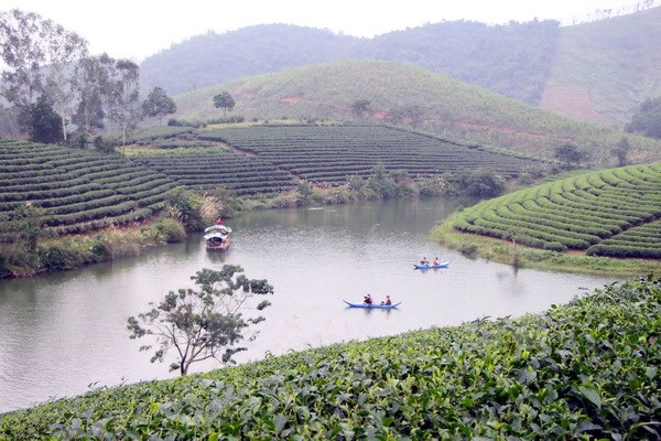 Đặt vé đoàn Bamboo đi Vinh